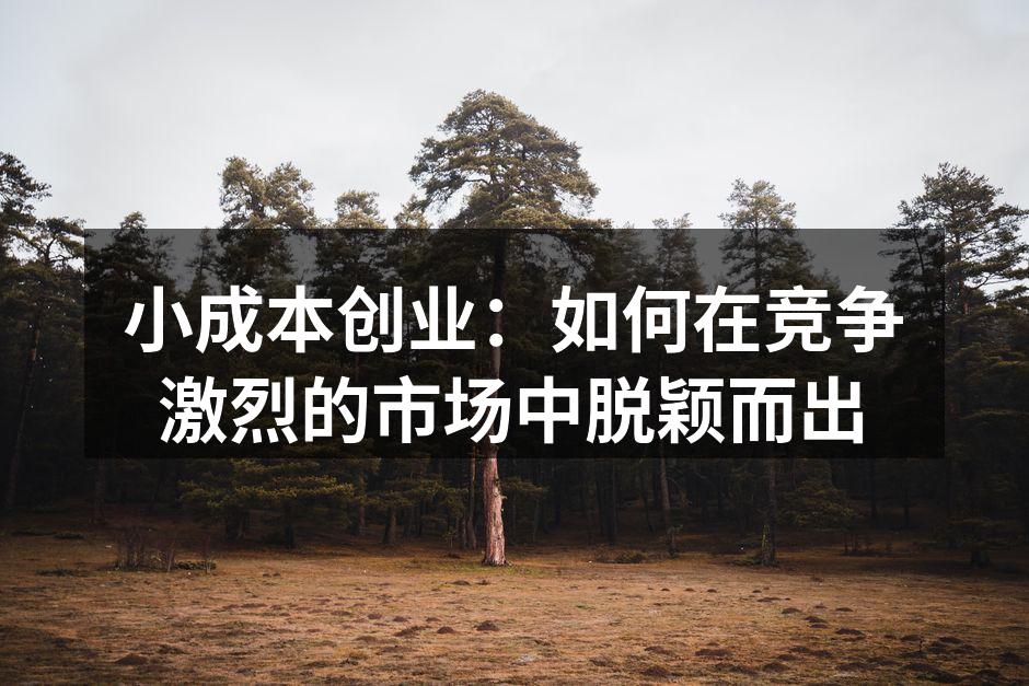 小成本创业：如何在竞争激烈的市场中脱颖而出